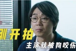 娱乐吃瓜君澄清视频,揭秘真相，还原事件全貌