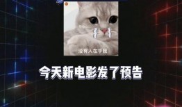 吃瓜娱乐爆料,揭秘明星幕后故事，吃瓜群众必看！