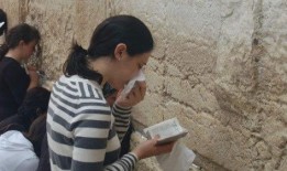 娱乐圈的吃瓜人