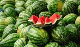 vx网红吃瓜免费入口,独家爆料，带你领略娱乐圈幕后风云