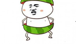 吃瓜表情的意思解释,网络社交中的幽默与讽刺