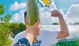 无偿吃瓜网红,揭秘无偿吃瓜网红的趣味人生