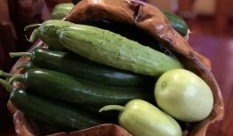 网红的瓜在哪里吃,探寻“瓜在哪里吃”的神秘之地