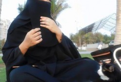 娱乐吃瓜君朋友,揭秘娱乐圈背后的那些事儿