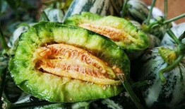 钛9吃瓜爆料最新,娱乐圈最新瓜料大曝光！