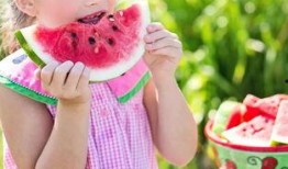 娱乐吃瓜遛鸟大师是谁,揭秘娱乐圈幕后风云人物