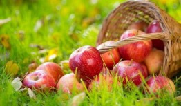 5.1吃瓜网官网苹果版,轻松畅享最新娱乐资讯，尽在掌握