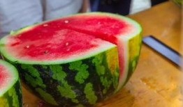 网红吃瓜大集合在线观看,在线观看，笑料连连