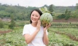 座等吃瓜,揭秘网络热议背后的真相与趣味