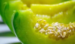 绿色吃瓜视频爆料,揭秘娱乐圈惊人内幕