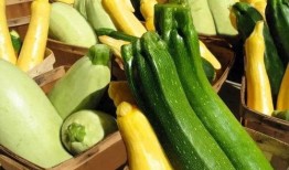 娱乐吃瓜项目推荐,那些你不知道的幕后吃瓜故事