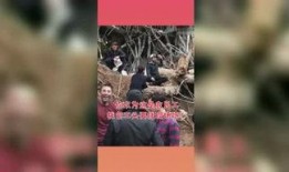 吃瓜爆料星球,娱乐圈幕后真相大曝光