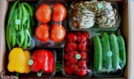 钛9吃瓜爆料最新,娱乐圈最新瓜料大曝光！