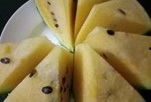 吃瓜论坛有哪些,热门话题与网友热议一览