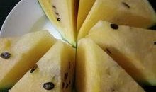 吃瓜论坛有哪些,热门话题与网友热议一览