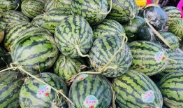 广西吃瓜网,揭秘广西美食圈的热辣新鲜事