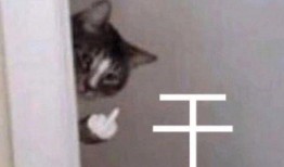 女生回复吃瓜表情包什么意思,女生回复背后的含义