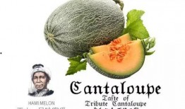 娱乐吃瓜项目推荐,那些你不知道的幕后吃瓜故事